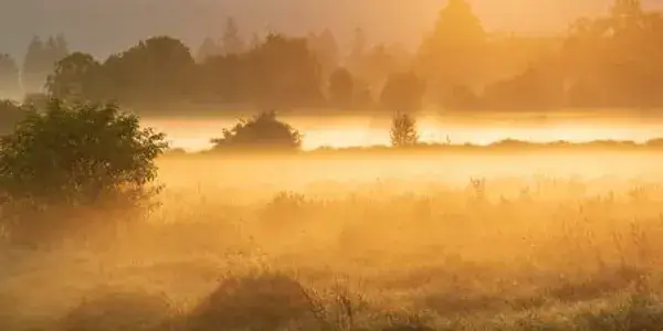 sunshine over misty landscape