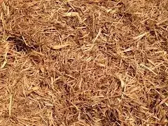 Cedar Mulch